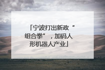 宁波打出新政“组合拳”，加码人形机器人产业