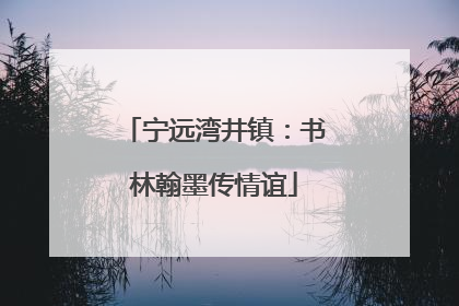 宁远湾井镇：书林翰墨传情谊