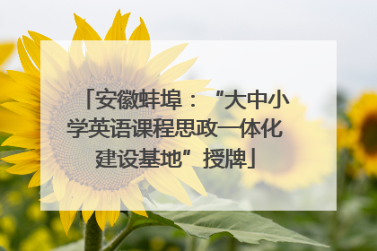 安徽蚌埠：“大中小学英语课程思政一体化建设基地”授牌