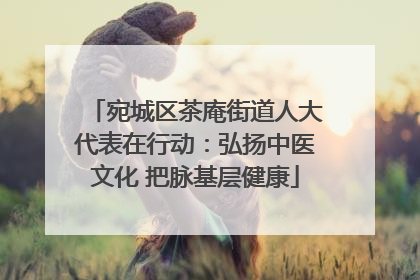 宛城区茶庵街道人大代表在行动：弘扬中医文化 把脉基层健康