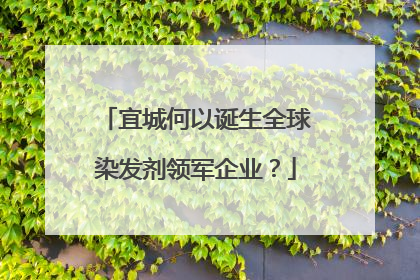 宜城何以诞生全球染发剂领军企业？