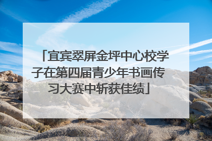 宜宾翠屏金坪中心校学子在第四届青少年书画传习大赛中斩获佳绩