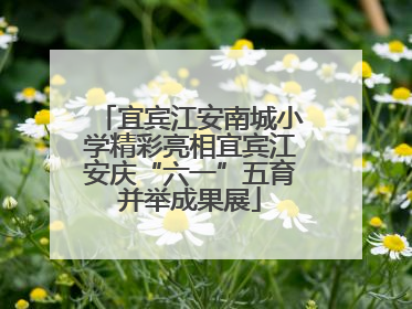 宜宾江安南城小学精彩亮相宜宾江安庆“六一”五育并举成果展