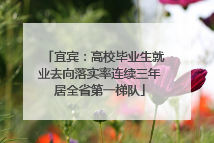 宜宾：高校毕业生就业去向落实率连续三年居全省第一梯队