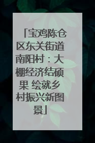 宝鸡陈仓区东关街道南阳村：大棚经济结硕果 绘就乡村振兴新图景
