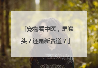 宠物看中医，是噱头？还是新赛道？
