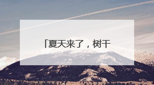 夏天来了，树干上包的卡通“围脖”要不要“脱”？专家回应
