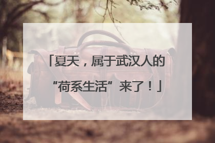 夏天，属于武汉人的“荷系生活”来了！