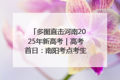 多图直击河南2025年新高考｜高考首日：南阳考点考生信心满满迎战