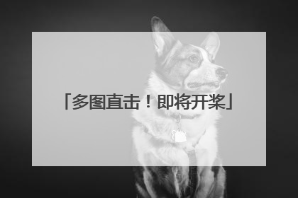 多图直击！即将开桨