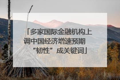 多家国际金融机构上调中国经济增速预期 “韧性”成关键词