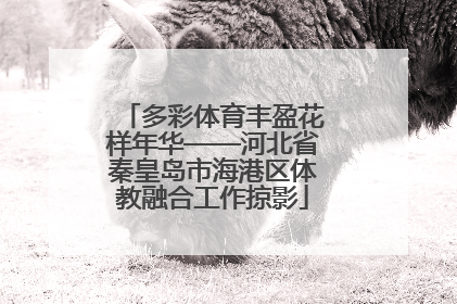 多彩体育丰盈花样年华——河北省秦皇岛市海港区体教融合工作掠影