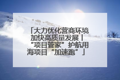 大力优化营商环境 加快高质量发展丨“项目管家”护航用海项目“加速跑”