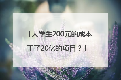 大学生200元的成本干了20亿的项目？