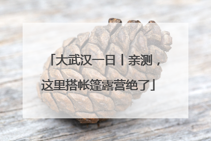 大武汉一日丨亲测，这里搭帐篷露营绝了