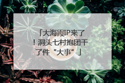 大海霞IP来了！洞头七村抱团干了件“大事”
