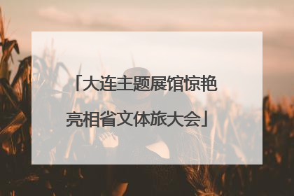 大连主题展馆惊艳亮相省文体旅大会