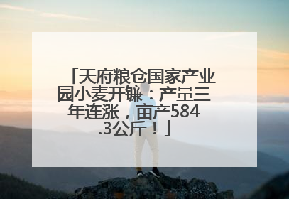 天府粮仓国家产业园小麦开镰：产量三年连涨，亩产584.3公斤！