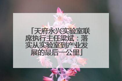 天府永兴实验室联席执行主任梁斌：落实从实验室到产业发展的最后一公里