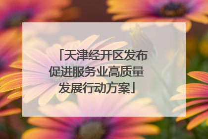 天津经开区发布促进服务业高质量发展行动方案