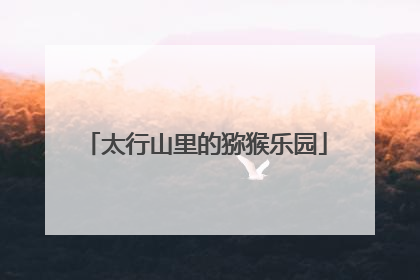 太行山里的猕猴乐园