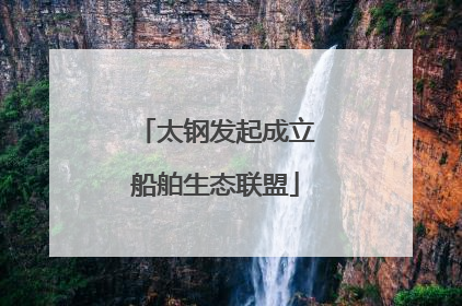 太钢发起成立船舶生态联盟