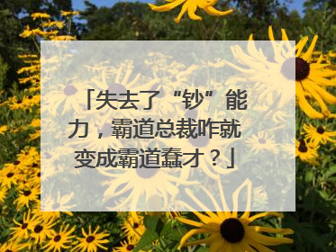 失去了“钞”能力，霸道总裁咋就变成霸道蠢才？