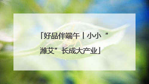 好品伴端午丨小小“潍艾”长成大产业