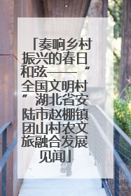 奏响乡村振兴的春日和弦——“全国文明村”湖北省安陆市赵棚镇团山村农文旅融合发展见闻