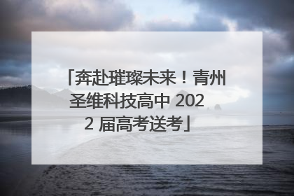 奔赴璀璨未来！青州圣维科技高中 2022 届高考送考
