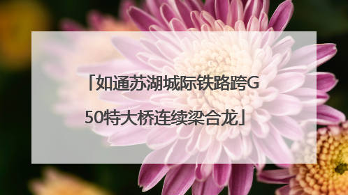 如通苏湖城际铁路跨G50特大桥连续梁合龙