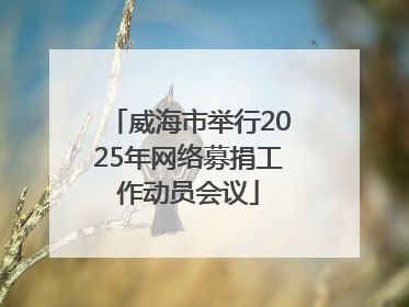 威海市举行2025年网络募捐工作动员会议