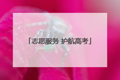 志愿服务 护航高考