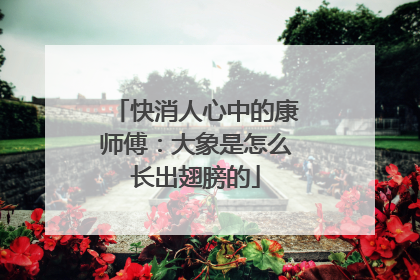 快消人心中的康师傅：大象是怎么长出翅膀的