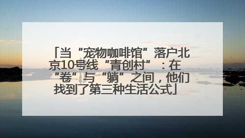 当“宠物咖啡馆”落户北京10号线“青创村”：在“卷”与“躺”之间，他们找到了第三种生活公式