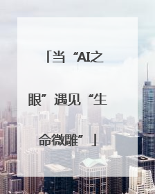 当“AI之眼”遇见“生命微雕”