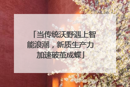 当传统沃野遇上智能浪潮，新质生产力加速破茧成蝶