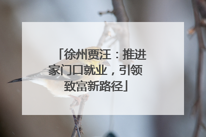徐州贾汪：推进家门口就业，引领致富新路径