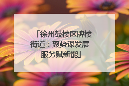 徐州鼓楼区牌楼街道：聚势谋发展 服务赋新能