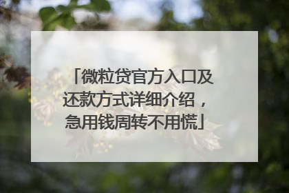微粒贷官方入口及还款方式详细介绍，急用钱周转不用慌