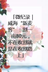 微纪录｜威海“新麦客”：割一亩80元，不在收割就是在收割路上