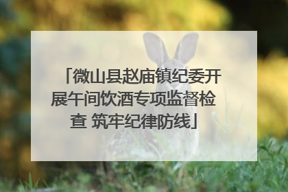 微山县赵庙镇纪委开展午间饮酒专项监督检查 筑牢纪律防线