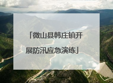 微山县韩庄镇开展防汛应急演练