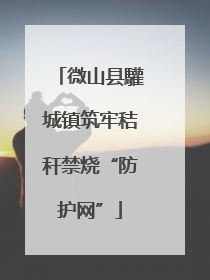 微山县驩城镇筑牢秸秆禁烧“防护网”