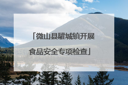 微山县驩城镇开展食品安全专项检查