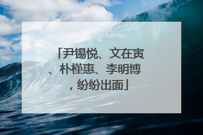 尹锡悦、文在寅、朴槿惠、李明博，纷纷出面