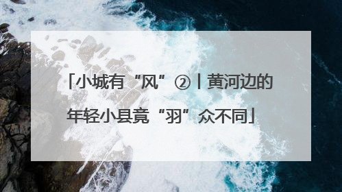 小城有“风”②丨黄河边的年轻小县竟“羽”众不同