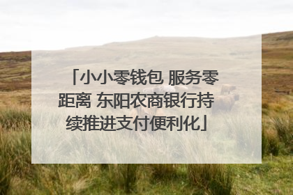 小小零钱包 服务零距离 东阳农商银行持续推进支付便利化