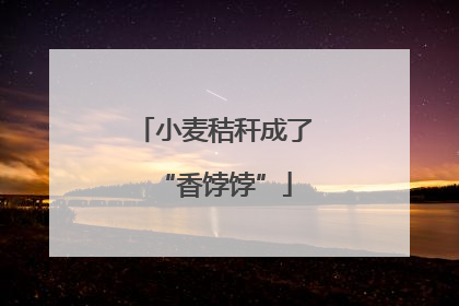 小麦秸秆成了“香饽饽”
