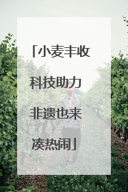 小麦丰收 科技助力 非遗也来凑热闹